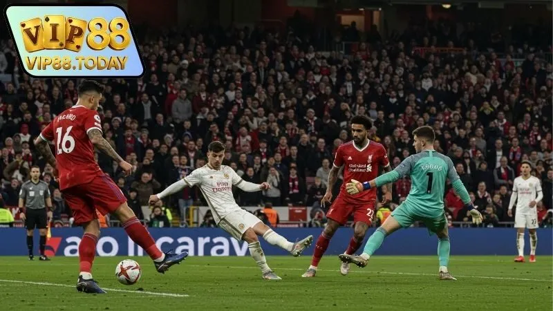 Cách chơi kèo rung – Thời điểm vàng để đặt cược hiệu quảv